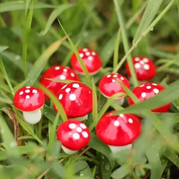  Karšto Pardavimo 10vnt Mini Raudona Grybų Sodo Ornamentu Miniatiūrinių Augalų Vazonuose Fėja 